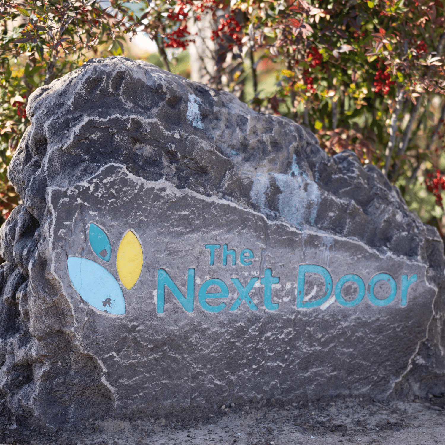 The Organization • Next Door Recovery